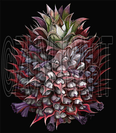 PINAPPLE